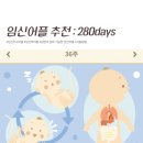 280데이즈