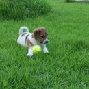 윤종원농장 이미지