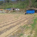 평창군 방림면 계촌리(둔내방향) 전원주택부지 매매 [500평, 농막,지하수,정화조,전기,인터넷 설치 완료] 이미지