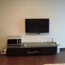 팔레드시즈 이미지