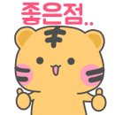 완주군 공설운동장 이미지