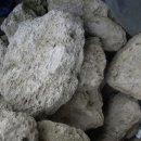 뜨는 돌 이미지