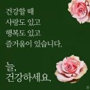 방광에 좋은 골반저근 강화운동 이미지