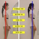 필라테스비비