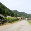 【김석하 金錫河(1896~1930)】 「대한 통의부 소대장, 중대장 역임, 정의부 중대장 및 헌병대장 역임」 이미지