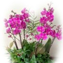 주성상사 이미지