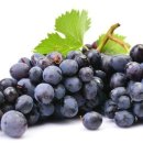 포도의 효능 이미지