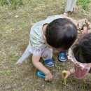 보미나어린이집 이미지