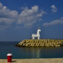 태우농장 이미지