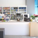 재연약국 이미지