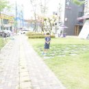 바른치킨원주