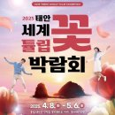 태안군청소년수련관 | 2025년 5월 태안 어린이날 행사 및 꽃축제 가볼만한곳 총정리