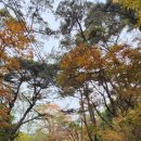 20.한내다리(행정) | 가야산 가을 단풍 산행 &amp; 청량사(절정시기, 등산코스, 소요시간, 난이도) 솔직 후기