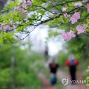 광주 천변길2 이미지