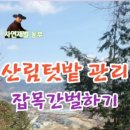 더드림팜 이미지