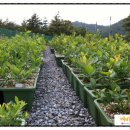 녹지농장 이미지