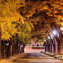 오현로20길 이미지