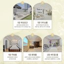 강남 단독주택 파티룸 민들레맨션 후기