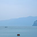 소안면-3 이미지