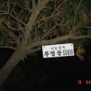낙동정맥 제 2구간(개금사거리~지경고개) 산행기①(06년11월18일 산행) 이미지