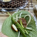 돼지영농후계자(초전점) 네이버블로그