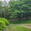 장등목장 이미지