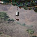 진우접착