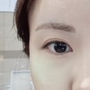 올리브영 추천 - 퓌 fwee 쿠션 스웨이드 리필 기획 (세미매트 첨 사본 후기)