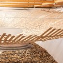 URBAN TREE 39 이미지