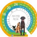 구로종합동물병원 이미지