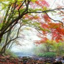 사진 기초에서 작품까지 이미지