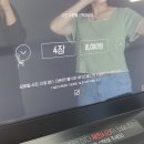 포토그레이시흥