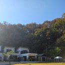 귀래630 | 반려견들의 천국! 1000평짜리 넓은 천연잔디 마당, 애견독채풀빌라 귀래630