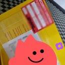 The Courier | [체코 교환학생] 무비자 출국, DHL, 대리인 수령 / 모인 MOIN 해외송금 후기 모인 (할인코드: kinc22)