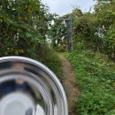 관보농장 이미지