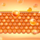 예다여성의원 이미지