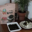 김기술 | 성경김 명란돌자반 밥반찬으로 제격
