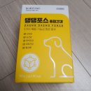 데일리 댕댕 | [강아지종합영양제 추천, 강아지영양제] 보령 댕댕포스 종합건강 후기