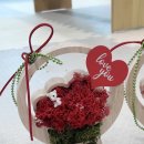 스칸디아모스 카네이션 바구니 만들기 | 유치원 초등학교 어버이날 원예체험 가정의달 단체원예수업 스칸디아모스 카네이션 꽃바구니