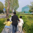 고모 이미지