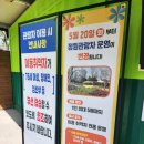 보리수유치원 | 순천만국가정원 가족여행 식물원, 시크릿 어드밴처 관람차 타고 한 바퀴