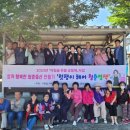 청춘염색