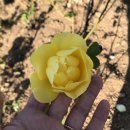 제이공인중개사사무소 이미지