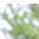 신흥한의원 이미지