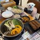 고모네해물파전 | 파주 애견동반 식당 N번째 방문한 한식집 강아지 실내O