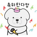 댕스얼랏 이미지