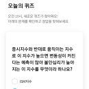 소소메이트