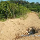 성철 농장 이미지