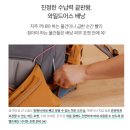 와디즈 올인원 와일드어스 캠핑배낭 여행갈때 가방으로 딱이야