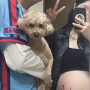 [임신/출산기록] 39주 임산부 / 역아 제왕절개 후기 / 울산미즈병원 / 출산후기